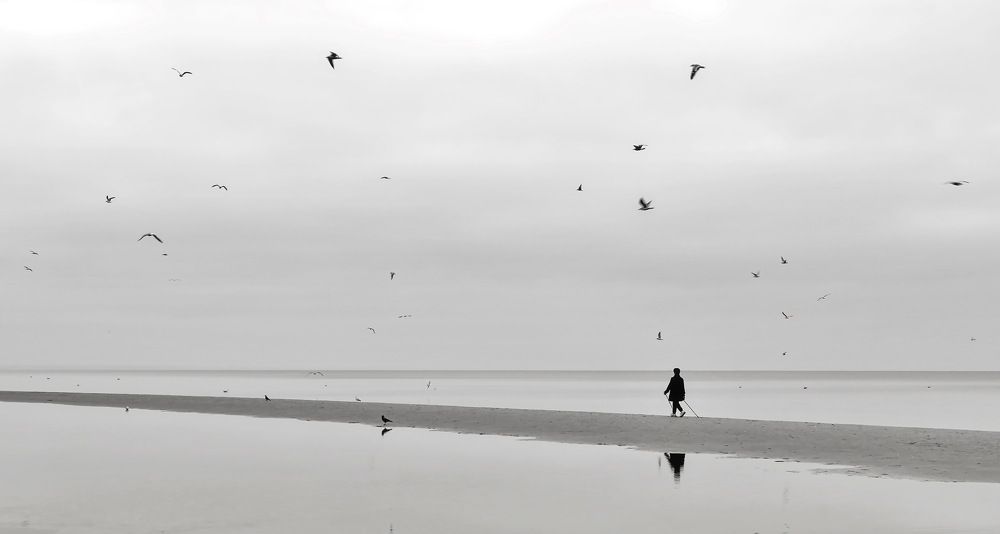 Photograph by Valerij  Poluden