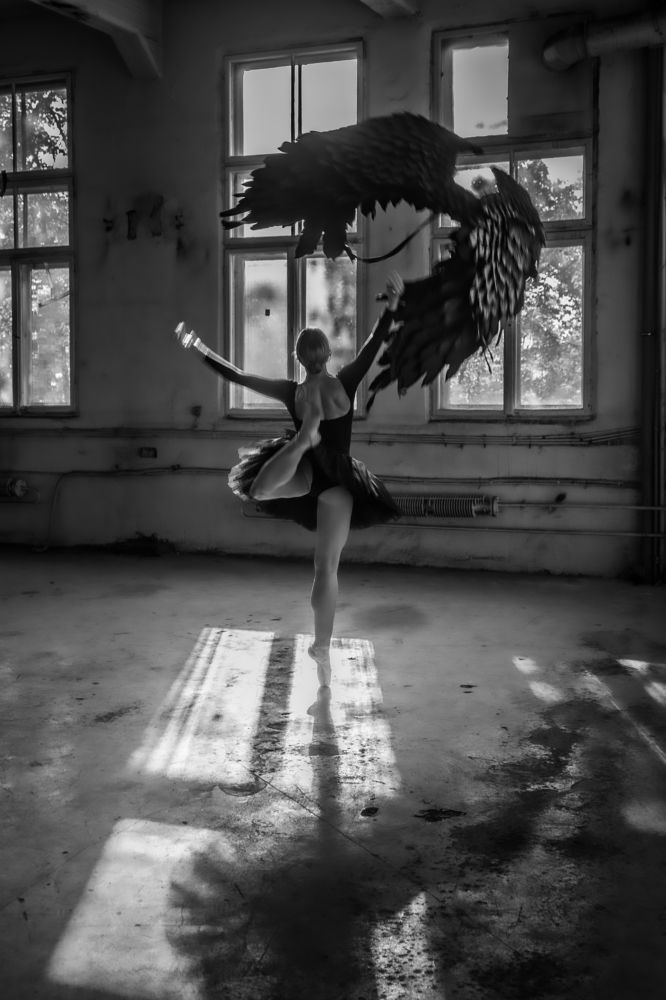 Photograph by Dzintra Zvagina