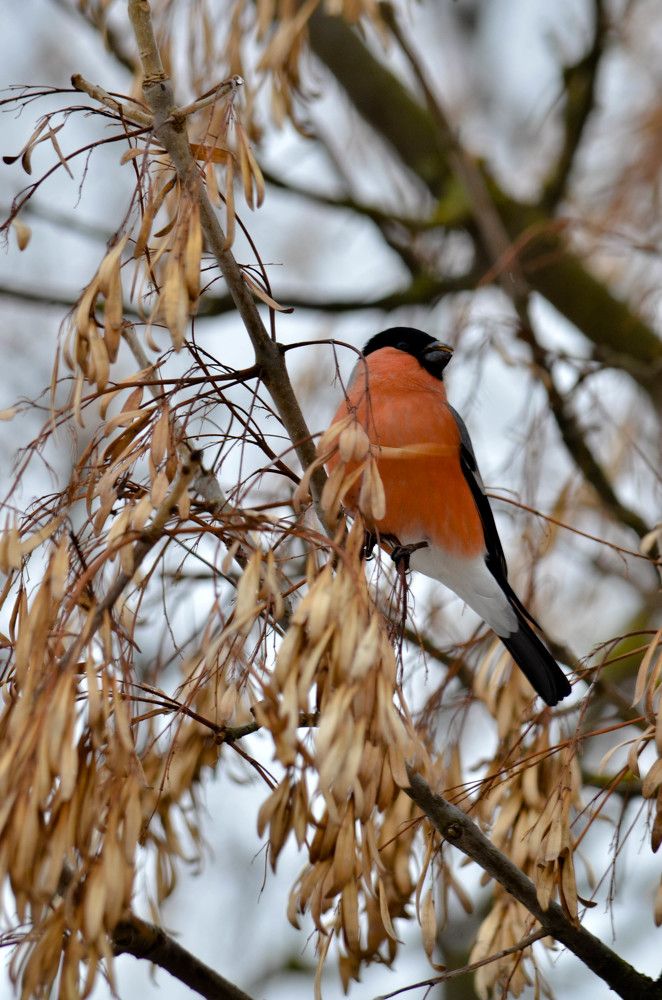 Photograph by игорь герасимовский