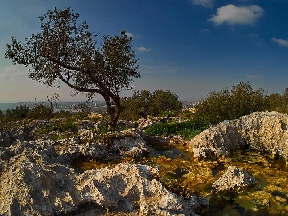 Фотография автора David Solodar