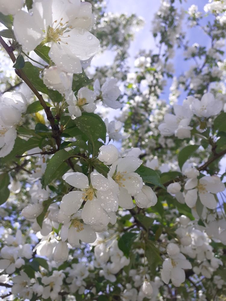 Photograph by Marina kosenko