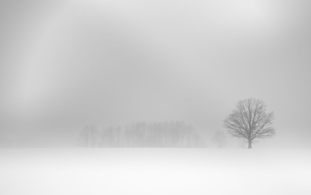 Photograph by Valerij  Poluden