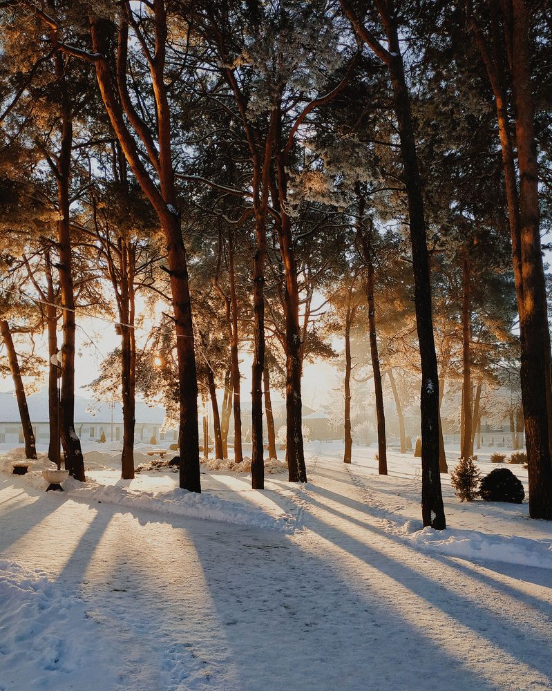 Photograph by Яроцкий Михаил