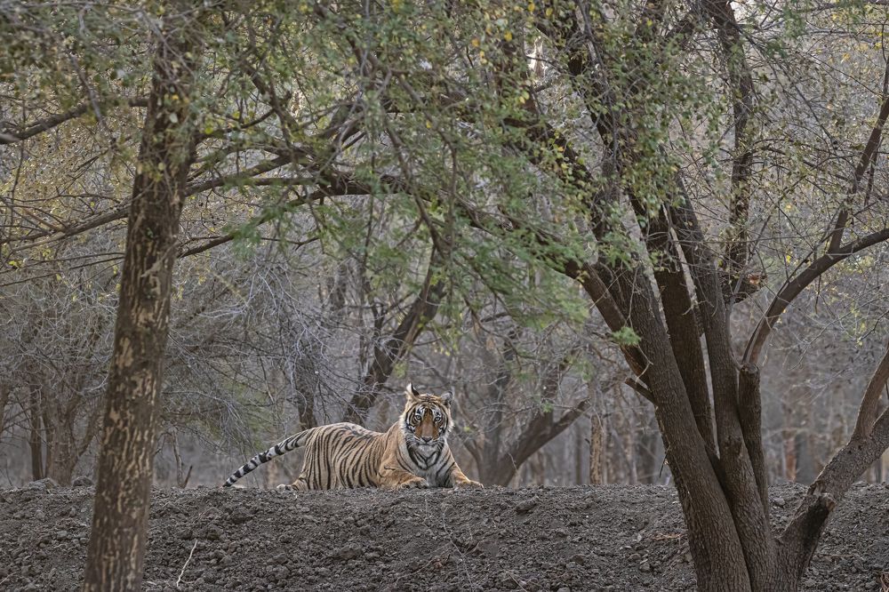 Photograph by Abhinav Behera