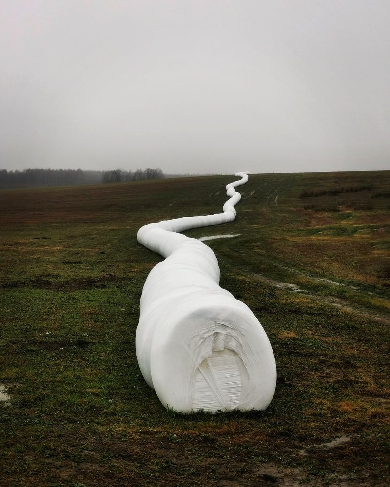 Photograph by Мария Бартош