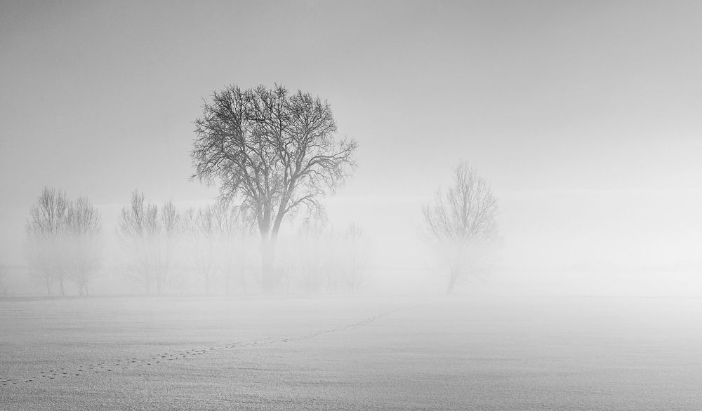 Photograph by Valerij  Poluden