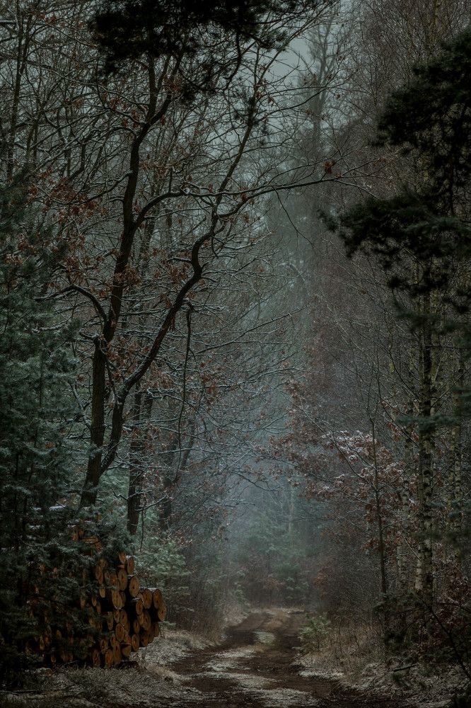 Photograph by Krzysztof Bozalek