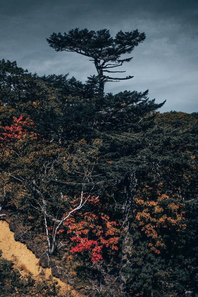 Photograph by Инна Кузьмичева