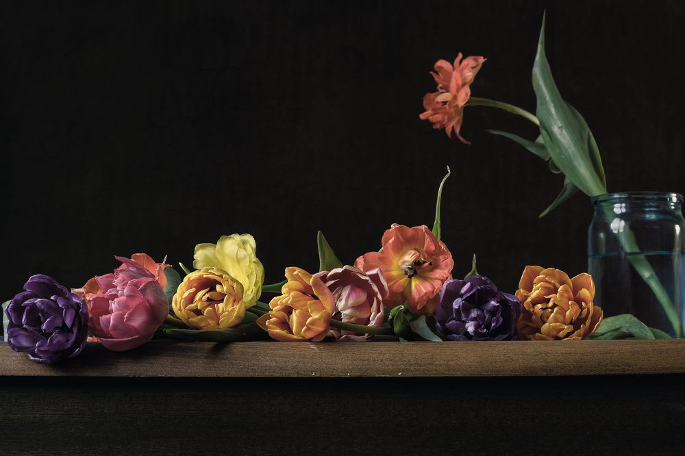 Photograph by Олеся Неволина-Лопатина