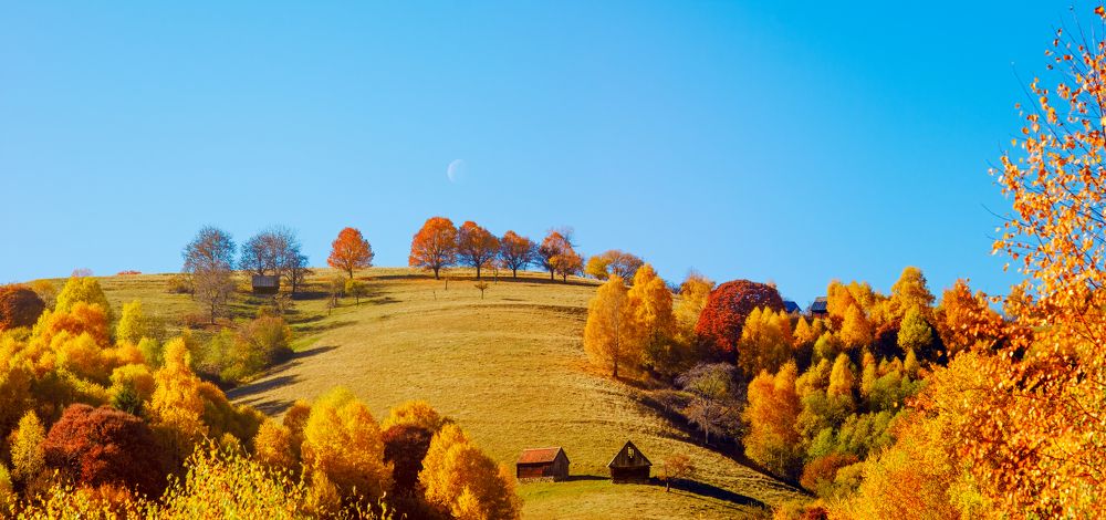 Autumn landscapes