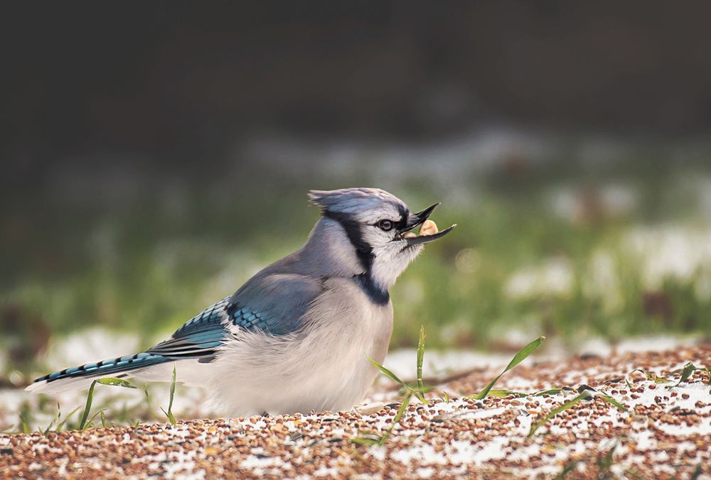 Photograph by Yelena