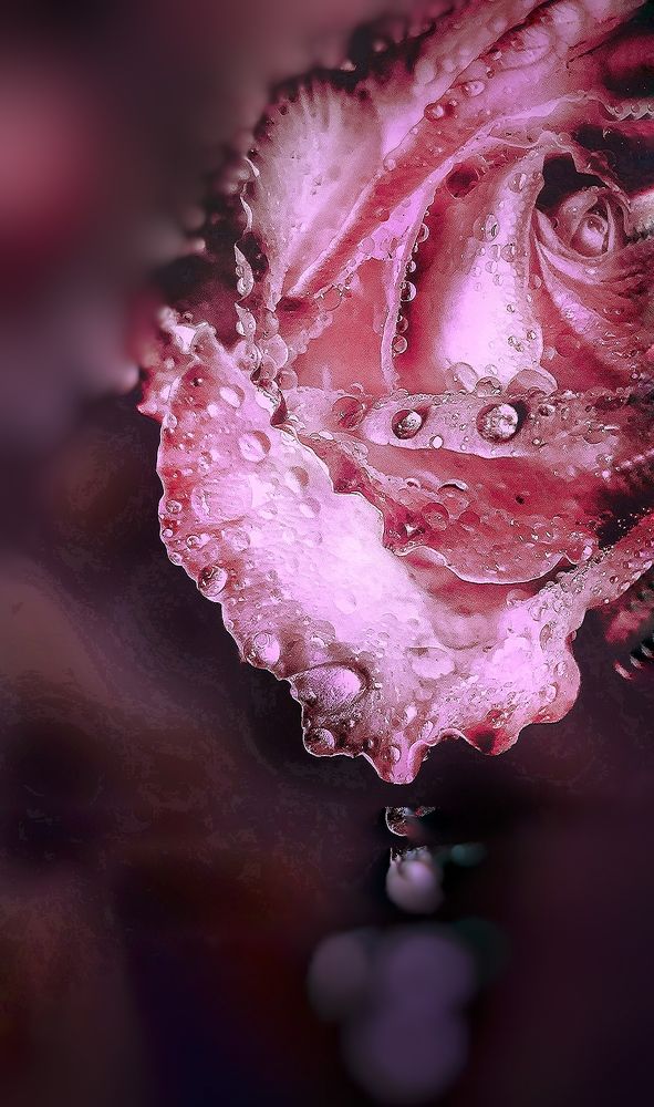 Photograph by Наталя Мартинчик