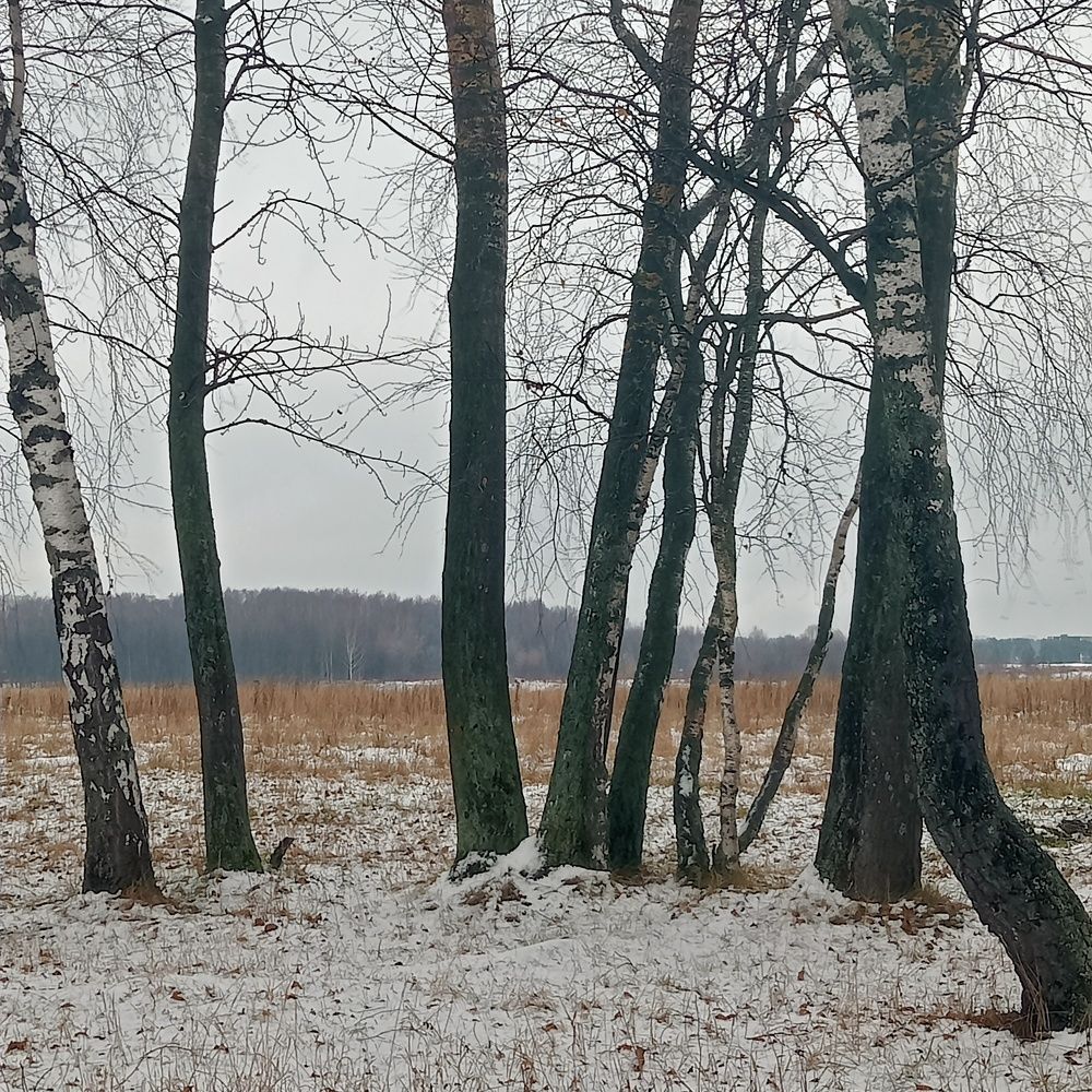 Photograph by Александр Alexander Zheleztsov