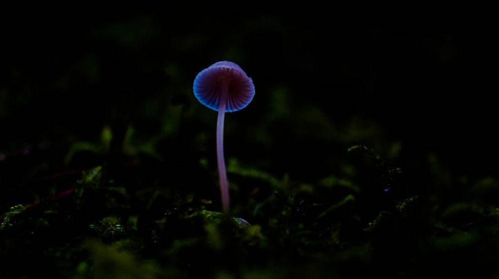 Фотография автора Юрий Цыркунов