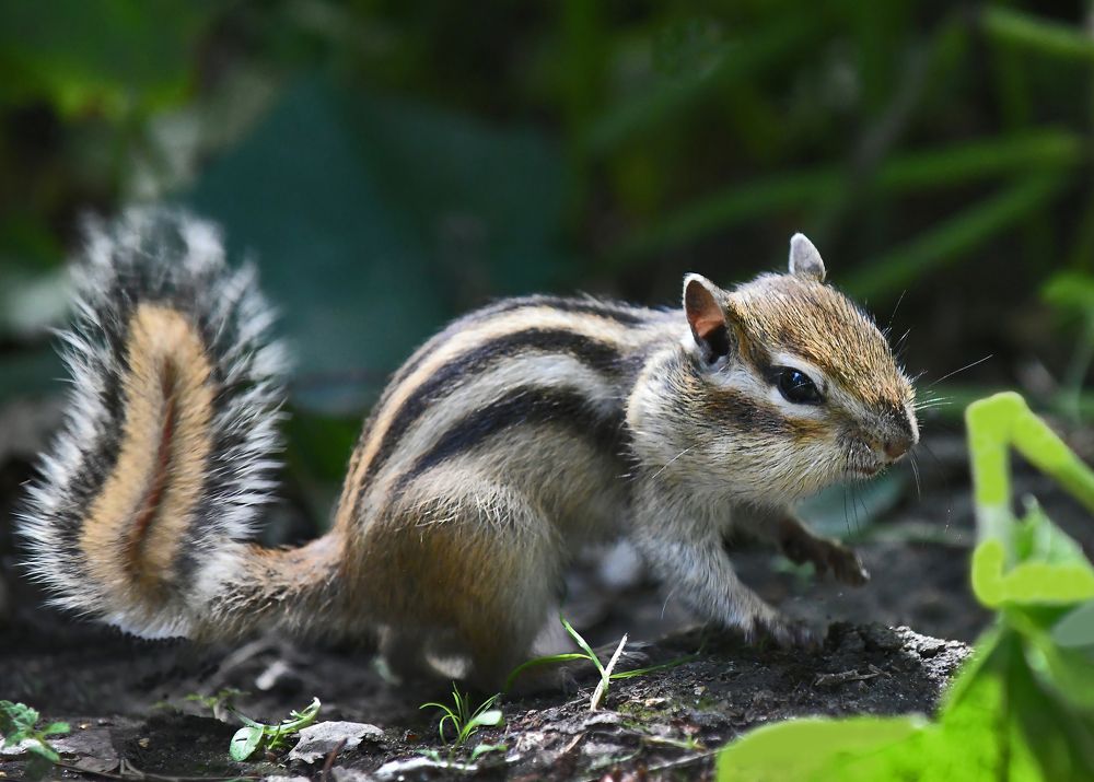 Photograph by Игорь Шадрин