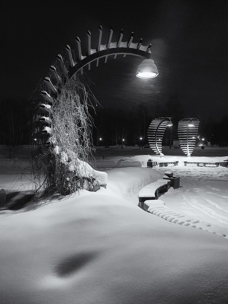 Фотография автора Сергей Сынтин