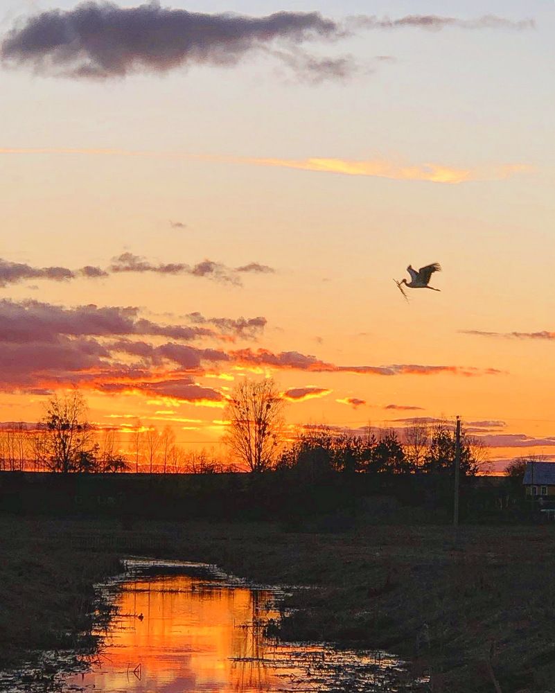 Photograph by Лариса