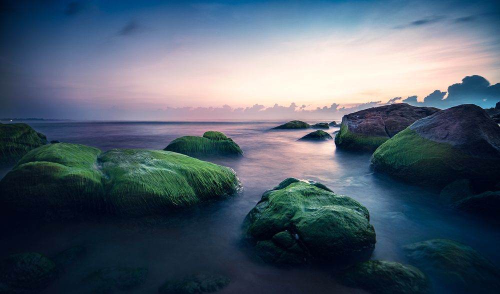 Photograph by Sameera Madusanka