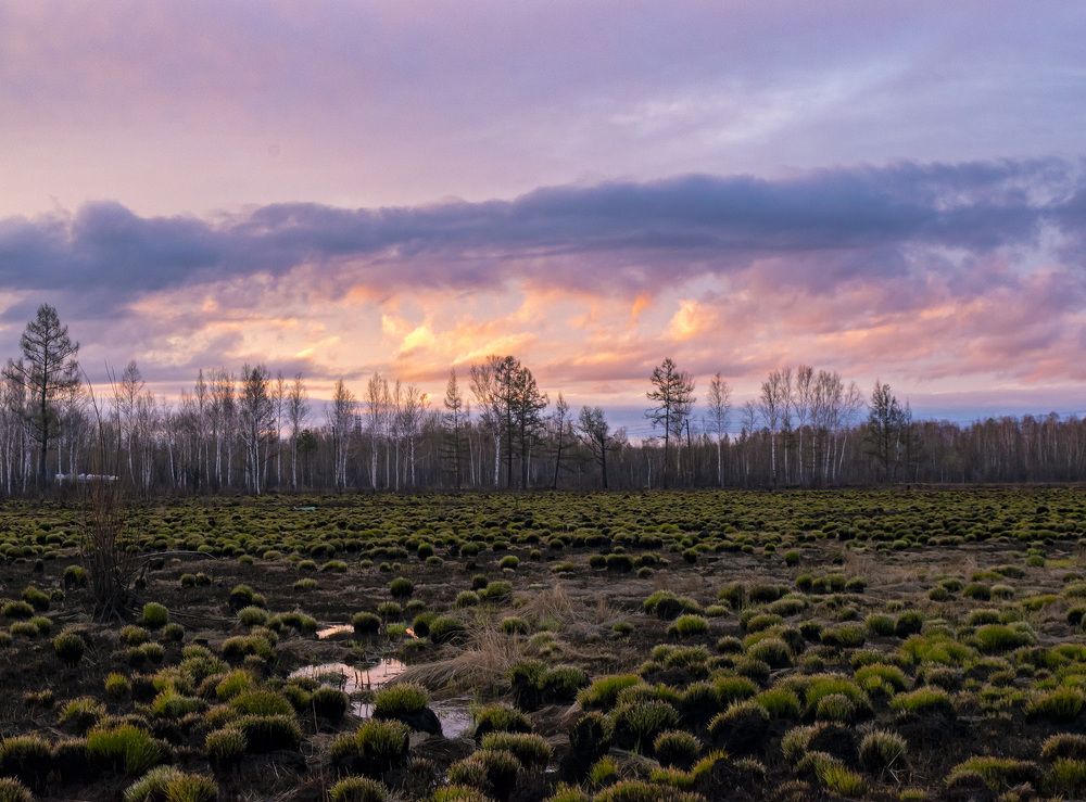 Photograph by Ольга Блохина