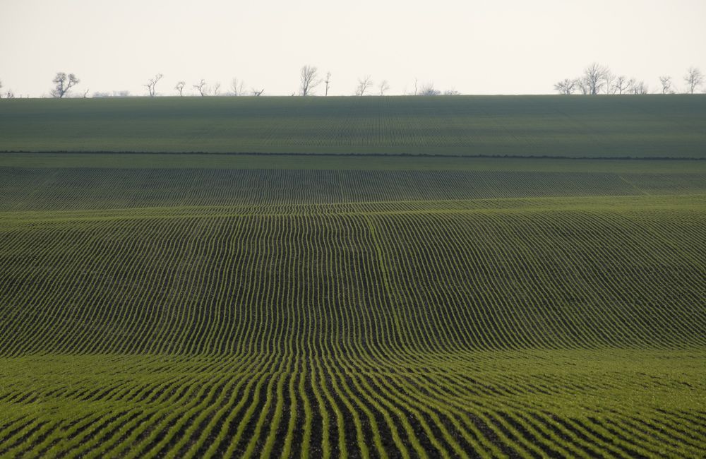 Фотография автора Константин Яковлев