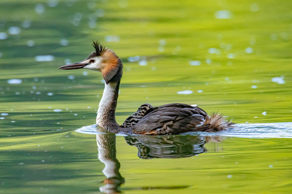 Photograph by Ellen Lichtenheldt