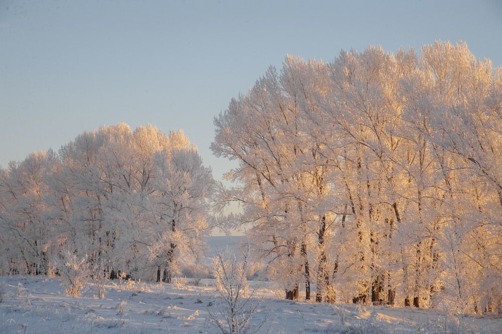 Photograph by Юрий Кухаришин