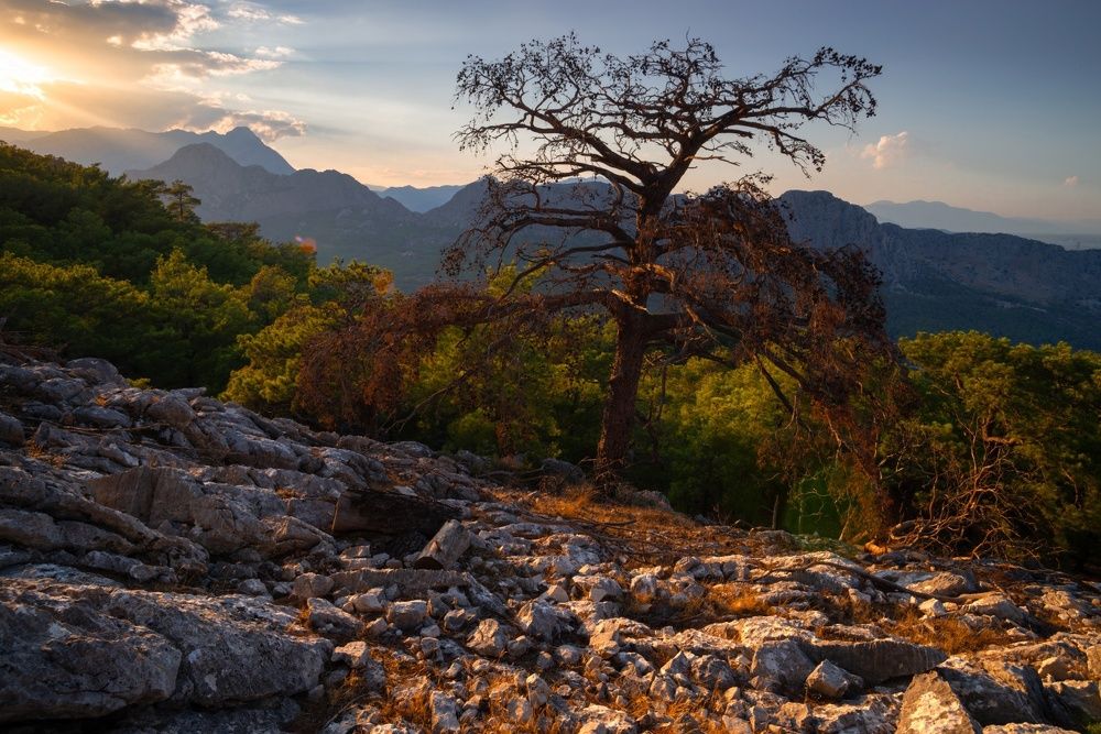 Photograph by Радик Гатауллин