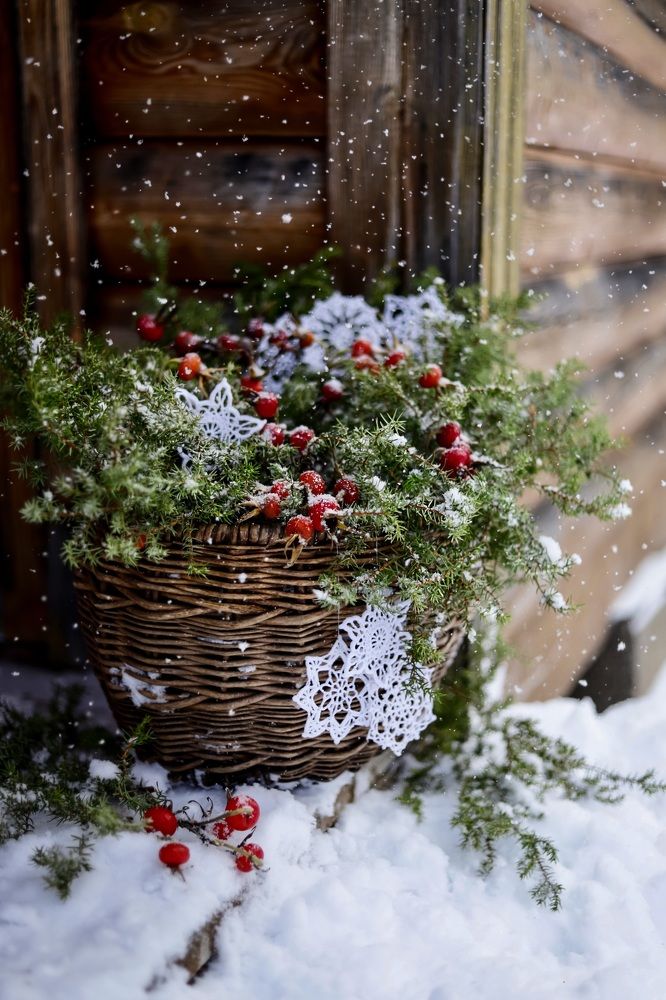 Photograph by Татьяна Кытина