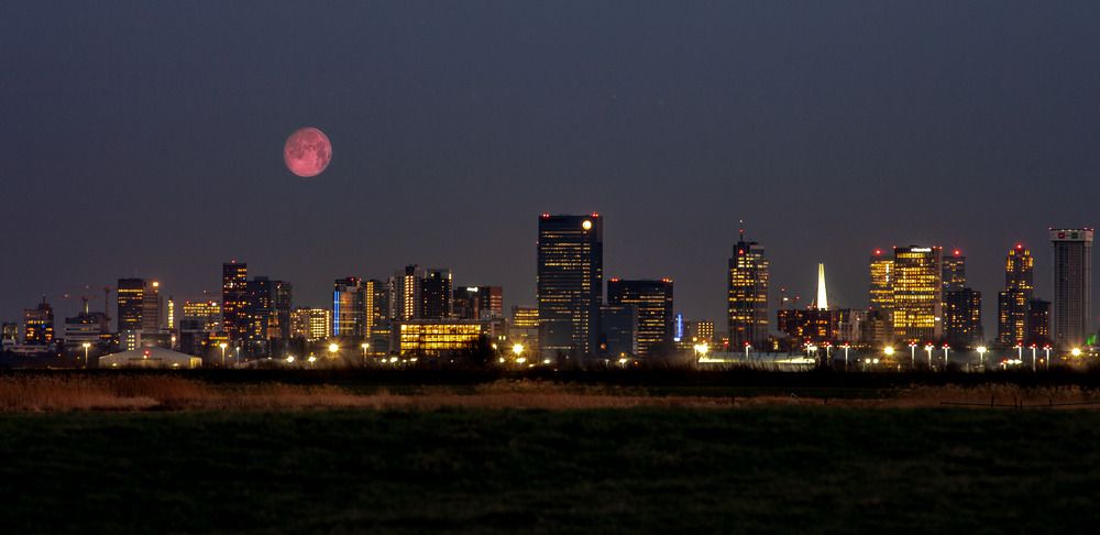 Photograph by Wiktor Kulesa