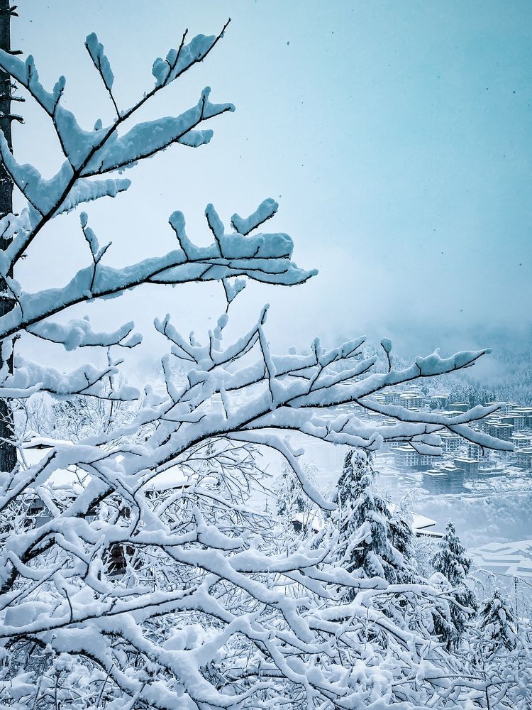 Photograph by Kinzang Tobgay