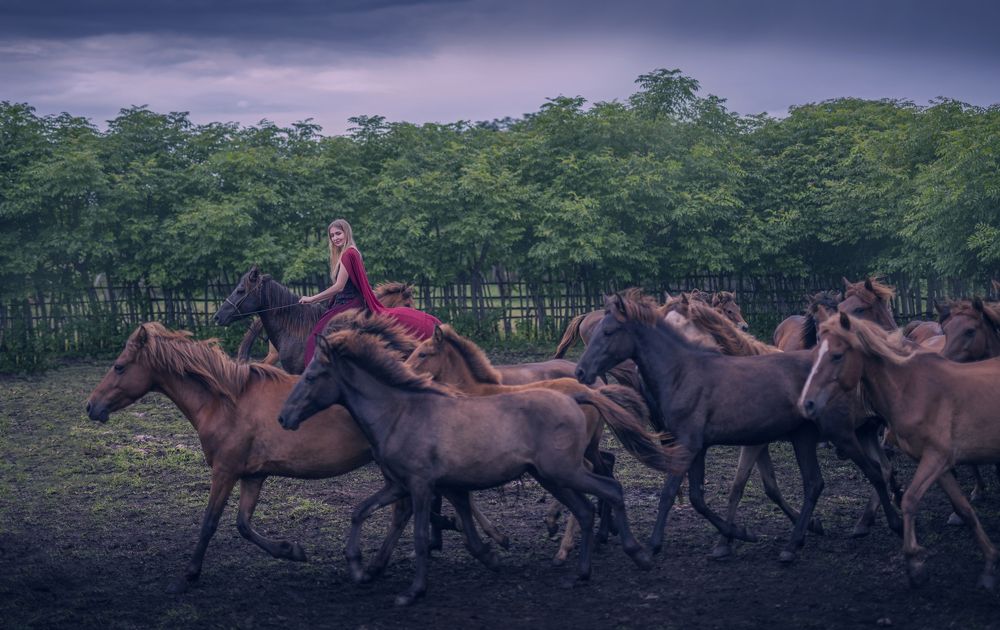 Фотография автора Anil Prabhakar