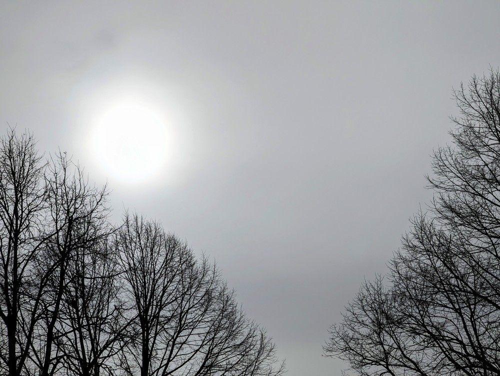 Photograph by Nika Rodionova