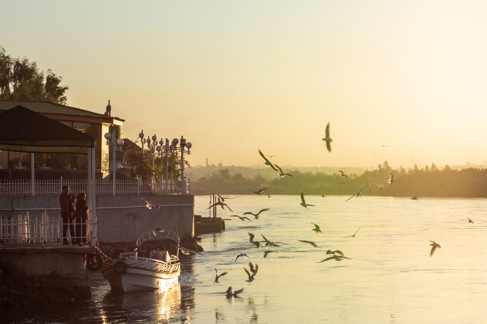 Photograph by mohammad khalil atya