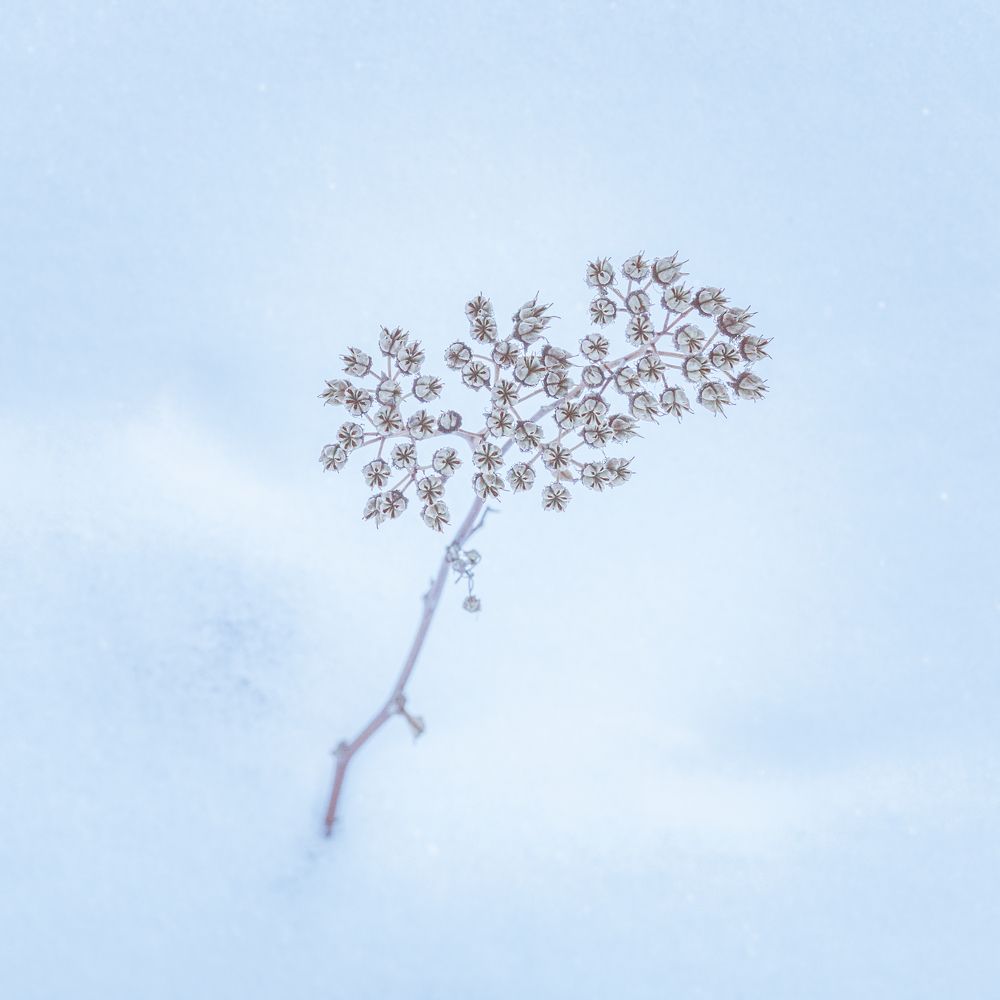 Photograph by Татьяна Макотра