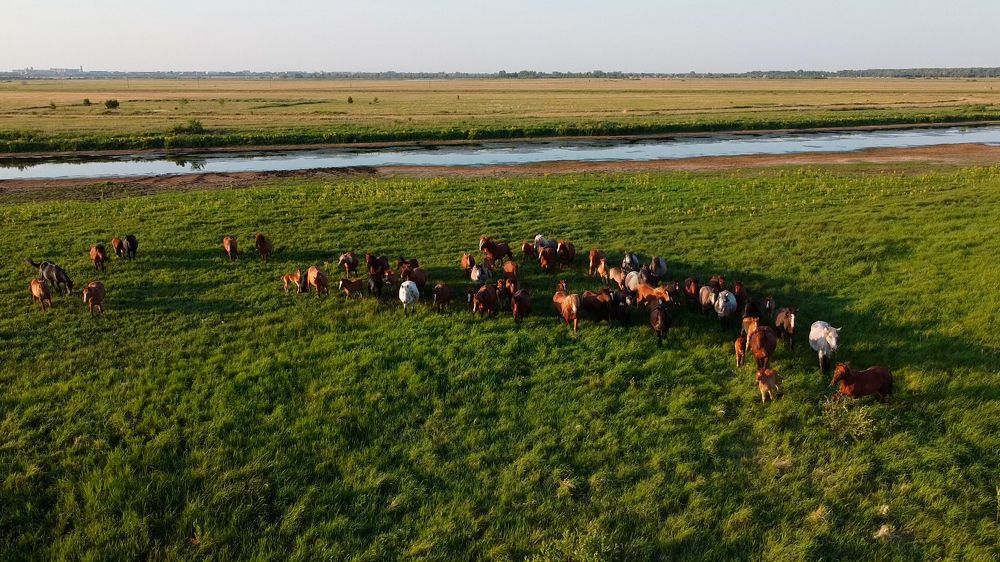 Photograph by Мария Медведева