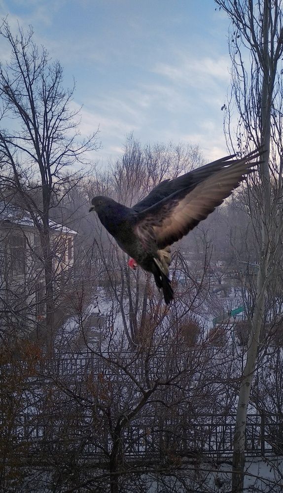 Photograph by Орынбек Асилбаев