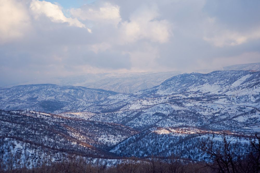 Photograph by mohammad khalil atya