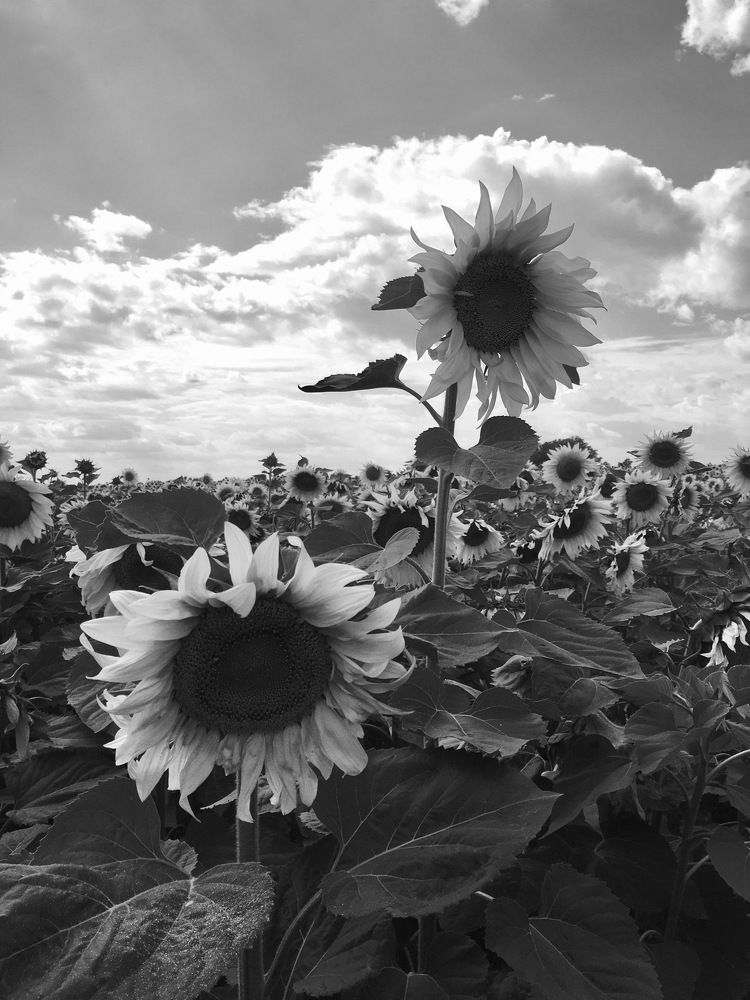 Photograph by Anton Nagel