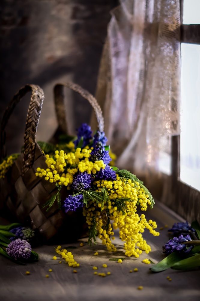 Photograph by Татьяна Кытина