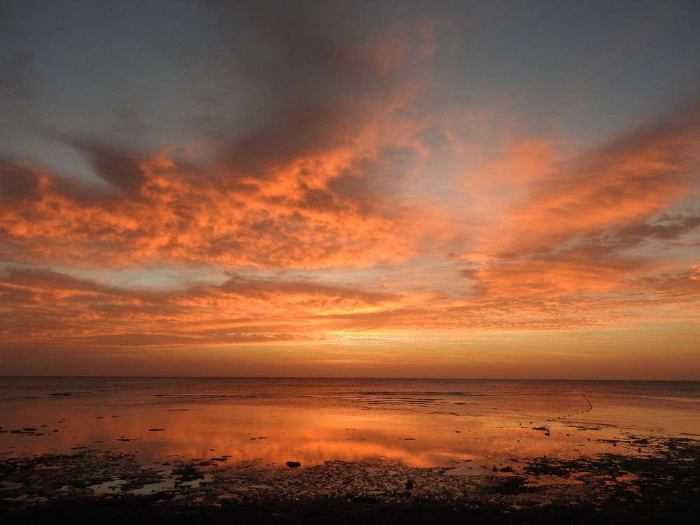 Фотография автора Юлия Овчинникова