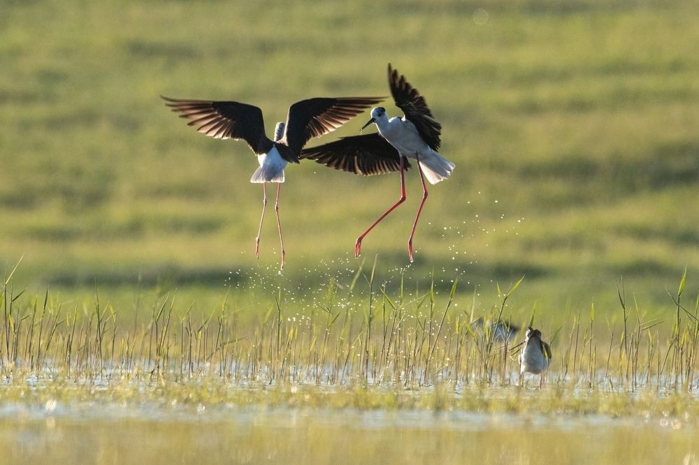 Photograph by Цветков Сергей