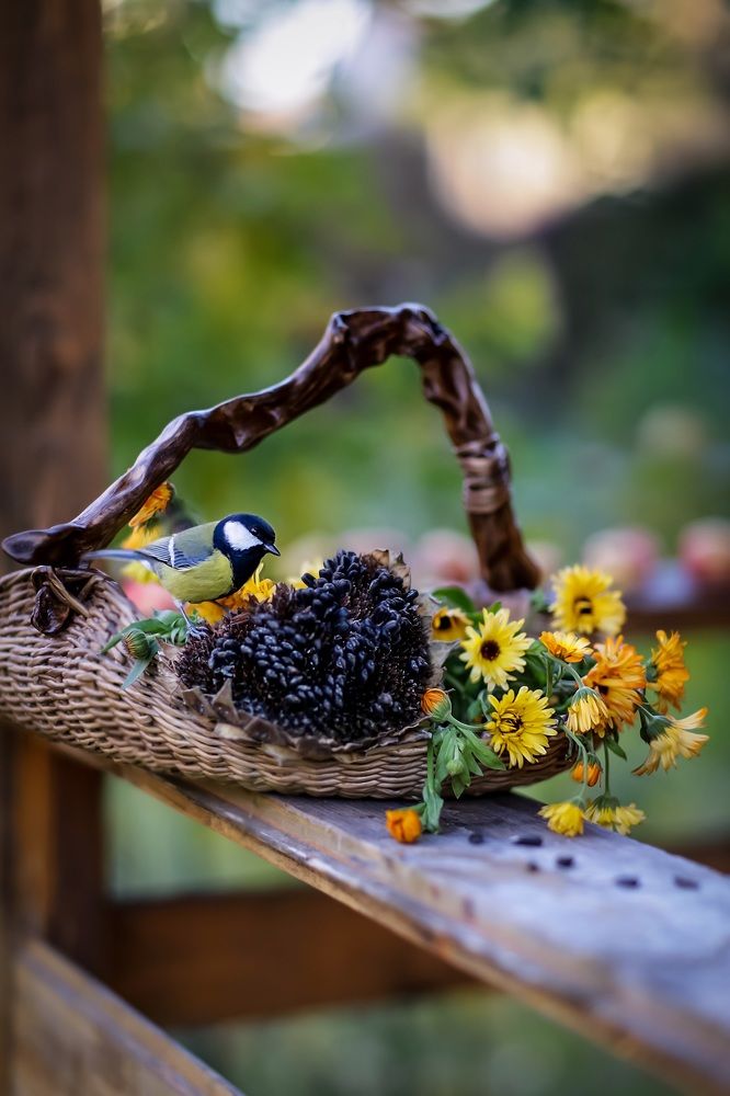 Photograph by Татьяна Кытина