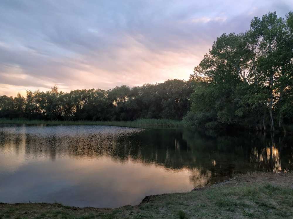 Photograph by Михаил Максимов