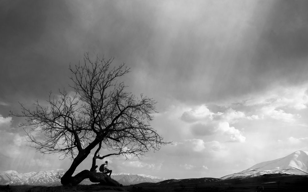 Фотография автора arastoo qadermazi