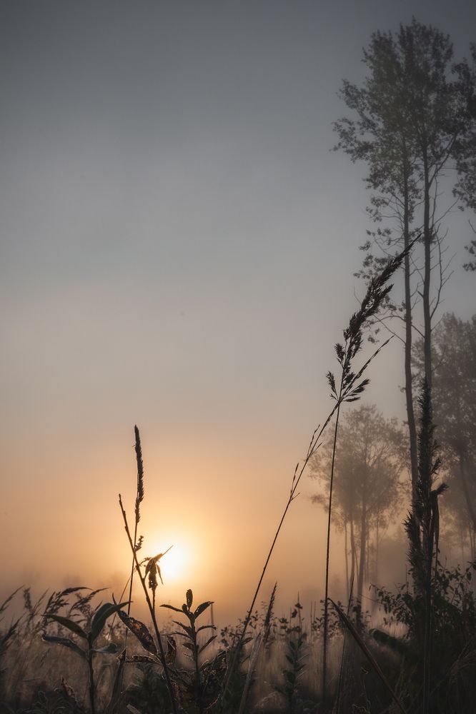 Photograph by валерий куропаткин