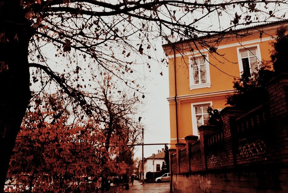 Photograph by Алёна Бондаренко