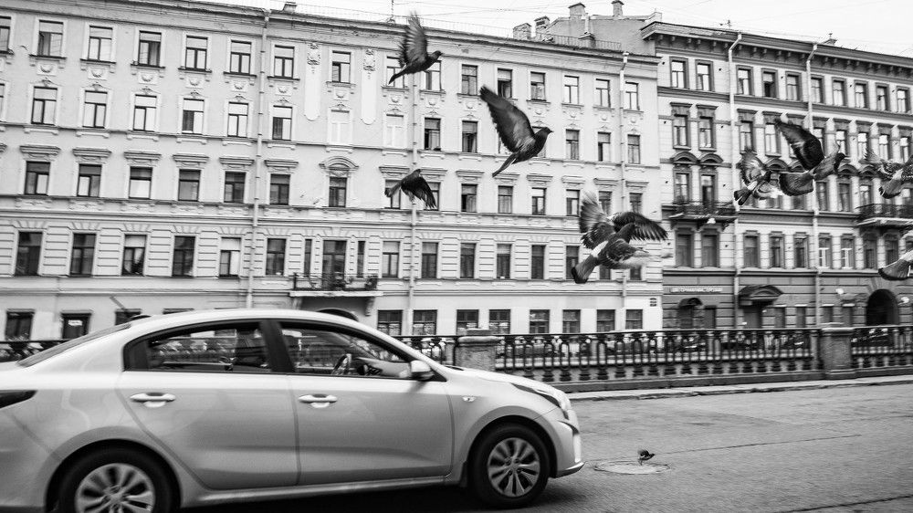 Фотография автора Алексей Школдин