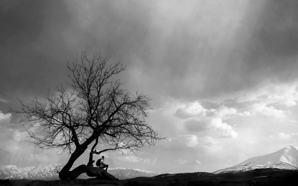 Фотография автора arastoo qadermazi