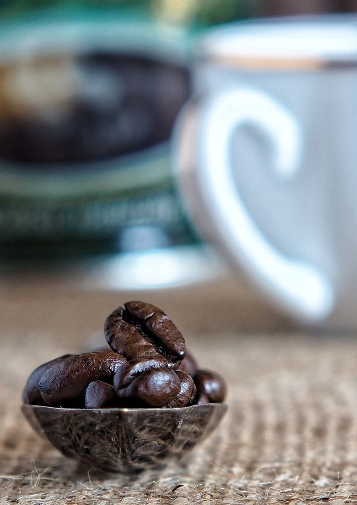 Photograph by Cornelia Ilie