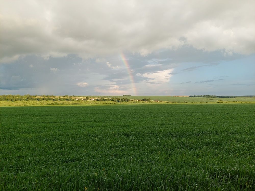 Photograph by Ершов Евгений